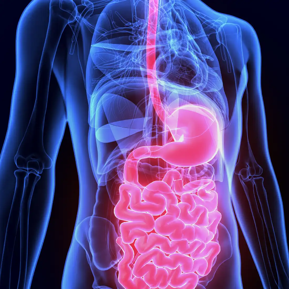 specialties_Gastroenterology Gastroenterology